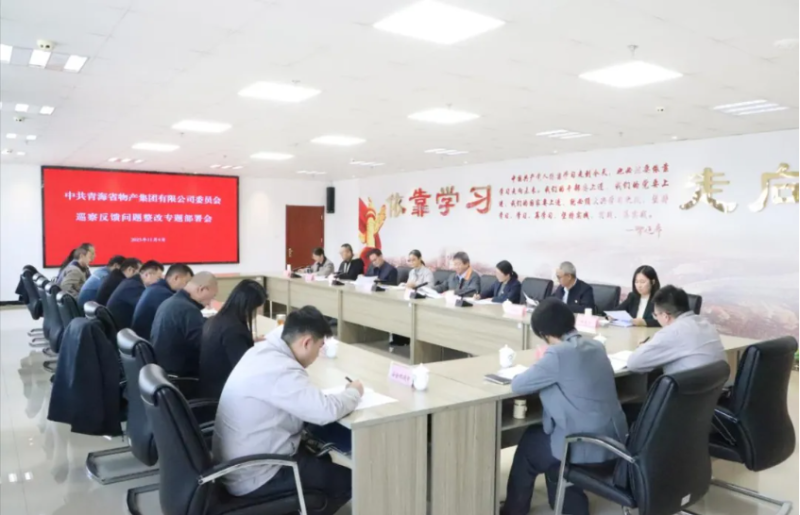 集團(tuán)黨委召開巡察反饋問題整改專題部署會